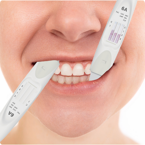 Use mouth swab test kit as shown across upper and lower lip line as shown.